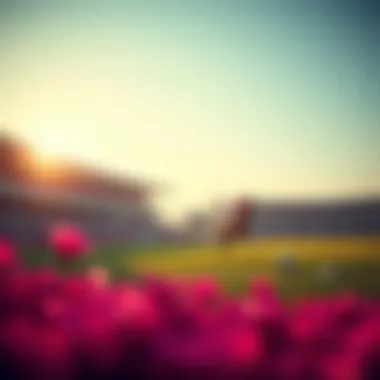 Magnificent 1100 회 로또에 대한 심층 분석