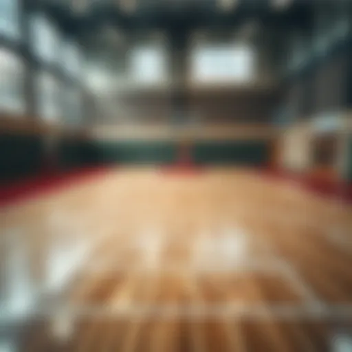 Basketball court showcasing various positions