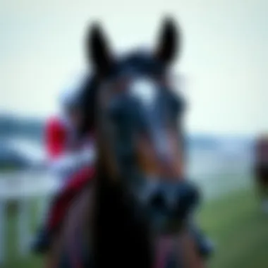 The Cultural Impact of Horse Racing Cultural significance of horse racing in society