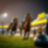 Concept of favorite Toto betting