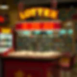 Exploring Lottery Ticket Options An overview of lottery ticket options