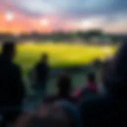 메가밀리언 온라인 구매의 이면 Introduction