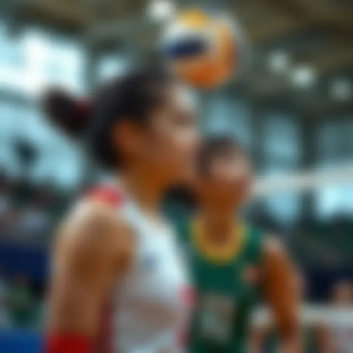 Predicted outcomes for today's volleyball games