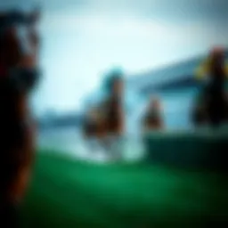 Overview of real-time horse racing